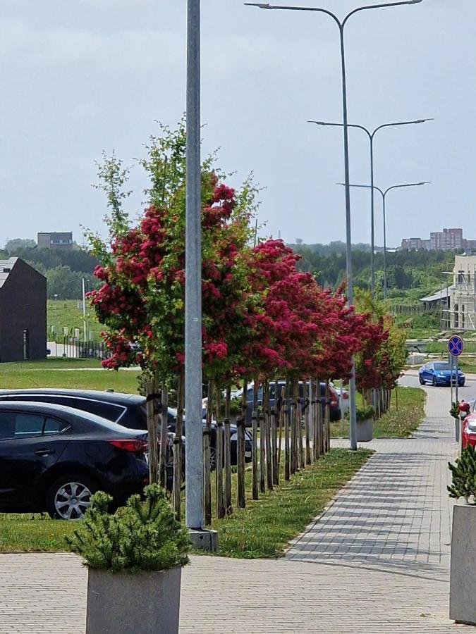 Apartamentai Ragaines Self Chec-In Free Parking Klaipėda Kültér fotó